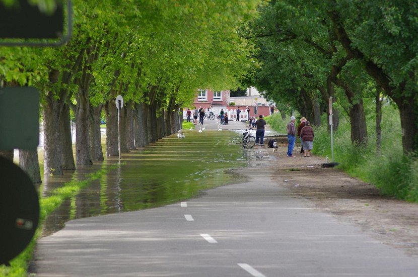 2013_MGC Hochwasser (16)